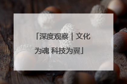 深度观察｜文化为魂 科技为翼