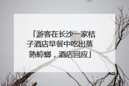 游客在长沙一家桔子酒店早餐中吃出蒸熟蟑螂，酒店回应