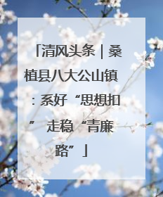 清风头条｜桑植县八大公山镇：系好“思想扣” 走稳“青廉路”
