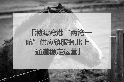 渤海湾港“两湾一航”供应链服务北上通道稳定运营