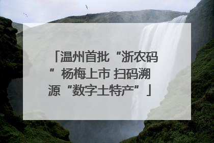 温州首批“浙农码”杨梅上市 扫码溯源“数字土特产”