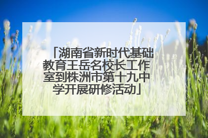 湖南省新时代基础教育王岳名校长工作室到株洲市第十九中学开展研修活动