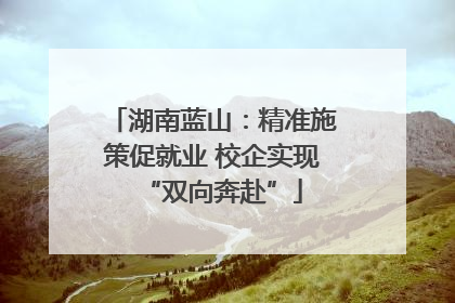 湖南蓝山：精准施策促就业 校企实现“双向奔赴”