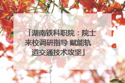 湖南铁科职院：院士来校调研指导 赋能轨道交通技术攻坚