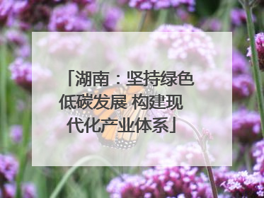 湖南：坚持绿色低碳发展 构建现代化产业体系