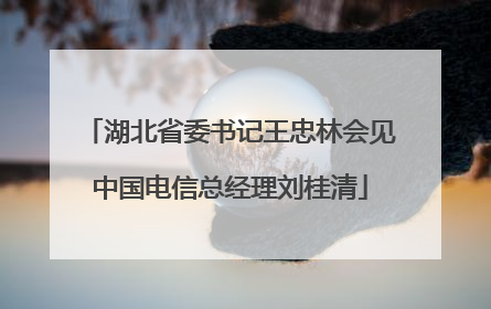 湖北省委书记王忠林会见中国电信总经理刘桂清