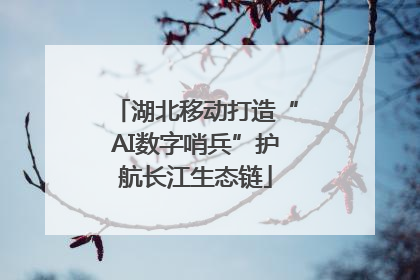 湖北移动打造“AI数字哨兵”护航长江生态链