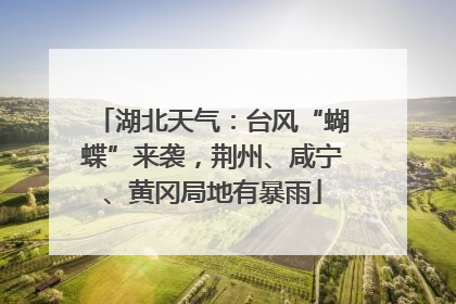 湖北天气：台风“蝴蝶”来袭，荆州、咸宁、黄冈局地有暴雨