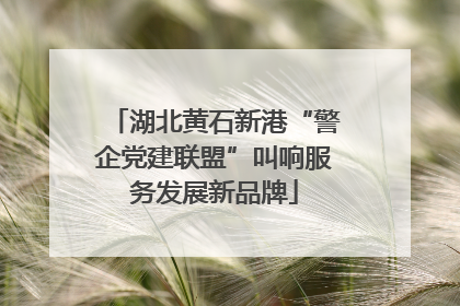 湖北黄石新港“警企党建联盟”叫响服务发展新品牌