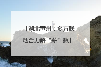 湖北黄州：多方联动合力解“薪”愁
