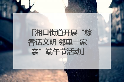 湘口街道开展“粽香话文明 邻里一家亲”端午节活动