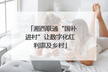 湘西联通“国补进村”让数字化红利惠及乡村