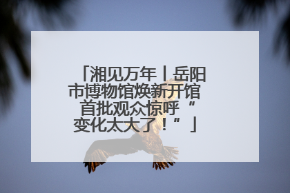 湘见万年丨岳阳市博物馆焕新开馆 首批观众惊呼“变化太大了！”