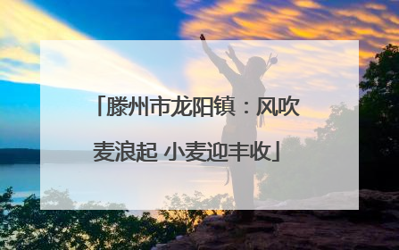 滕州市龙阳镇：风吹麦浪起 小麦迎丰收