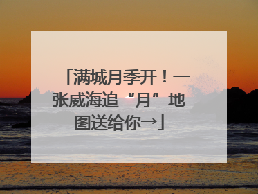 满城月季开！一张威海追“月”地图送给你→