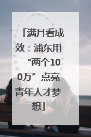 满月看成效：浦东用“两个100万”点亮青年人才梦想