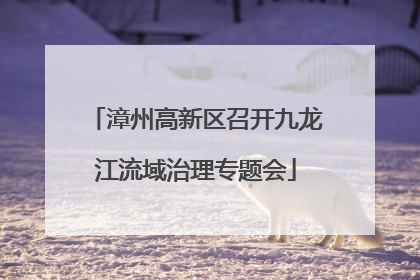 漳州高新区召开九龙江流域治理专题会