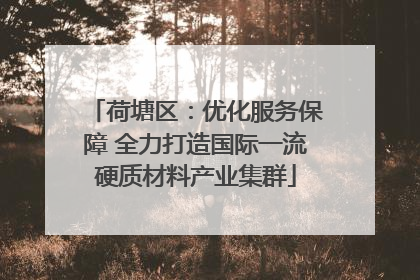 荷塘区：优化服务保障 全力打造国际一流硬质材料产业集群