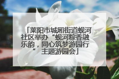 莱阳市城厢街道蚬河社区举办“蚬河粽香融乐韵，同心筑梦游园行” 主题游园会