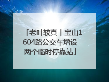 老叶较真丨宝山1604路公交车增设两个临时停靠站