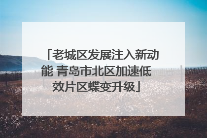老城区发展注入新动能 青岛市北区加速低效片区蝶变升级