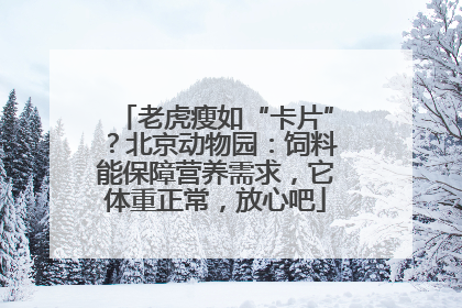 老虎瘦如“卡片”？北京动物园：饲料能保障营养需求，它体重正常，放心吧