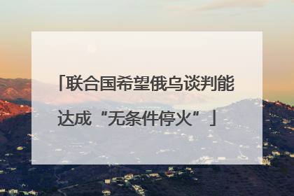 联合国希望俄乌谈判能达成“无条件停火”