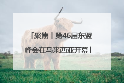 聚焦丨第46届东盟峰会在马来西亚开幕