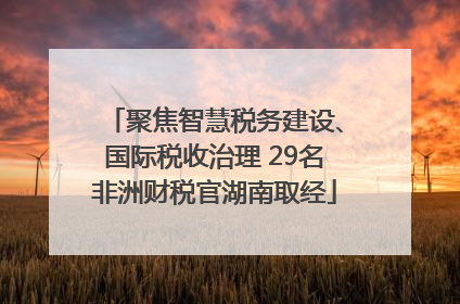 聚焦智慧税务建设、国际税收治理 29名非洲财税官湖南取经
