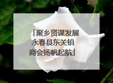聚乡贤谋发展 永春县东关镇商会扬帆起航