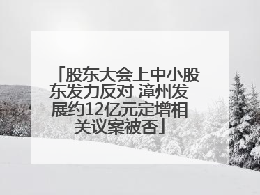 股东大会上中小股东发力反对 漳州发展约12亿元定增相关议案被否