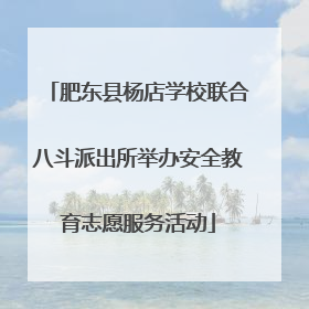 肥东县杨店学校联合八斗派出所举办安全教育志愿服务活动