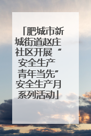 肥城市新城街道赵庄社区开展“安全生产 青年当先”安全生产月系列活动