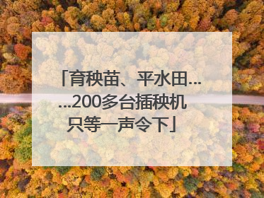 育秧苗、平水田……200多台插秧机只等一声令下