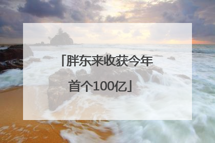 胖东来收获今年首个100亿