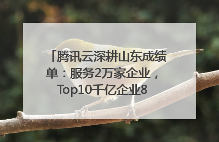 腾讯云深耕山东成绩单：服务2万家企业，Top10千亿企业8家选择腾讯云