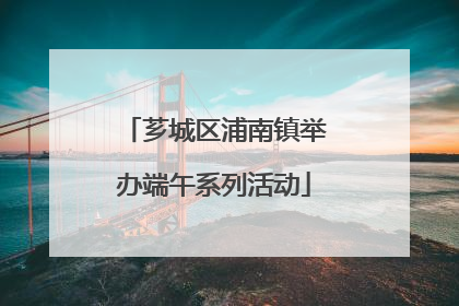 芗城区浦南镇举办端午系列活动
