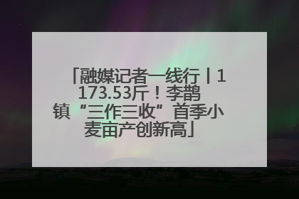 融媒记者一线行丨1173.53斤！李鹊镇“三作三收”首季小麦亩产创新高