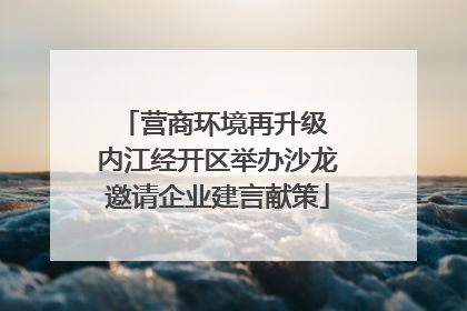 营商环境再升级 内江经开区举办沙龙邀请企业建言献策