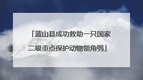 蓝山县成功救助一只国家二级重点保护动物领角鸮