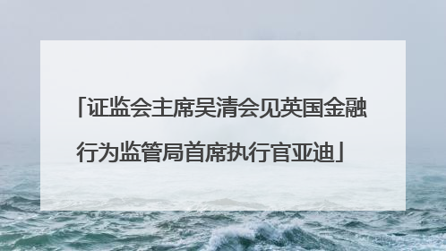 证监会主席吴清会见英国金融行为监管局首席执行官亚迪