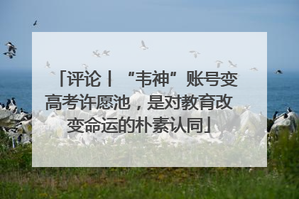 评论丨“韦神”账号变高考许愿池，是对教育改变命运的朴素认同