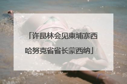 许昆林会见柬埔寨西哈努克省省长蒙西纳