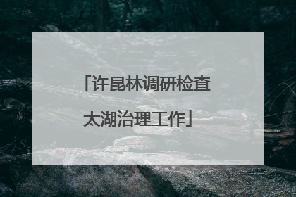 许昆林调研检查太湖治理工作