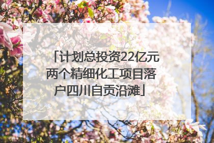 计划总投资22亿元 两个精细化工项目落户四川自贡沿滩