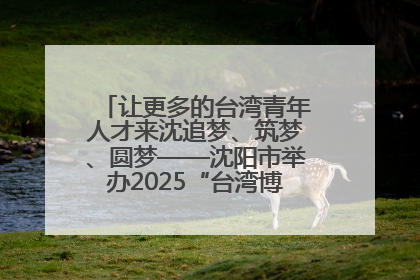 让更多的台湾青年人才来沈追梦、筑梦、圆梦——沈阳市举办2025“台湾博士沈阳行”活动