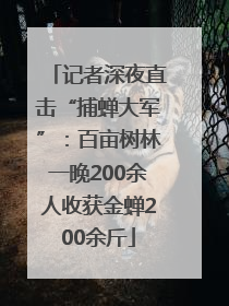 记者深夜直击“捕蝉大军”：百亩树林一晚200余人收获金蝉200余斤