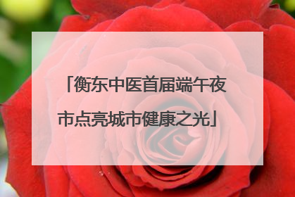 衡东中医首届端午夜市点亮城市健康之光