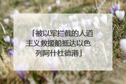 被以军拦截的人道主义救援船抵达以色列阿什杜德港
