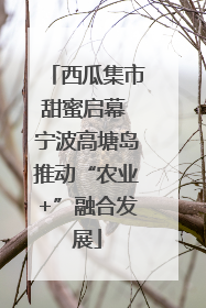 西瓜集市甜蜜启幕 宁波高塘岛推动“农业+”融合发展
